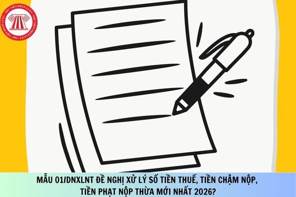 Pháp luật