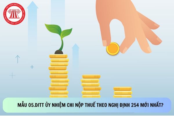 Pháp luật