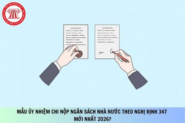 Pháp luật