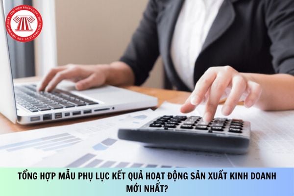Tổng hợp mẫu Phụ lục kết quả hoạt động sản xuất kinh doanh mới nhất?