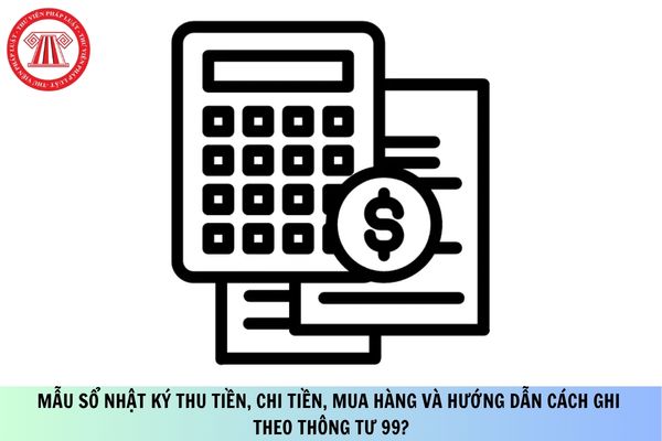 Pháp luật