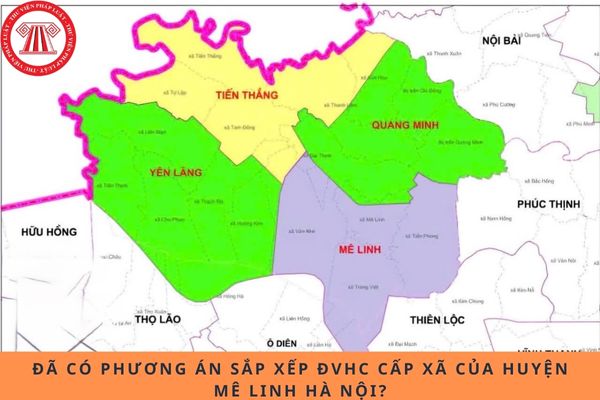 Pháp luật