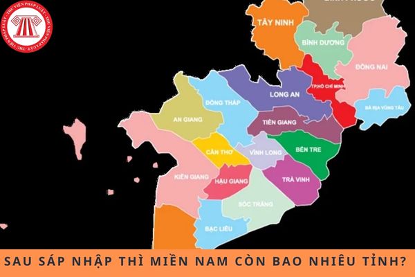 Pháp luật