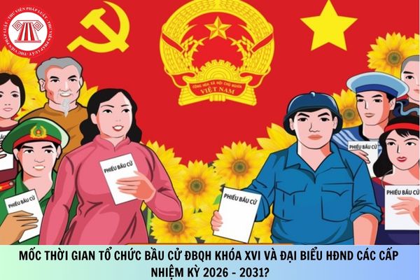 Pháp luật