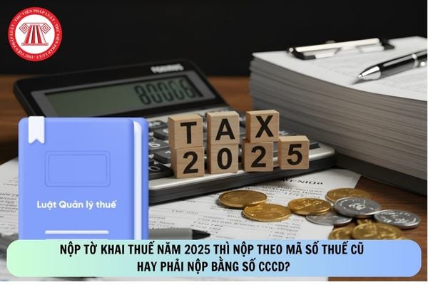 Pháp luật