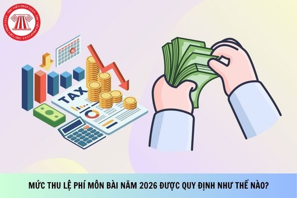 Pháp luật