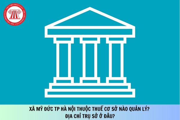 Pháp luật
