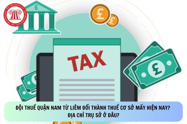 Pháp luật