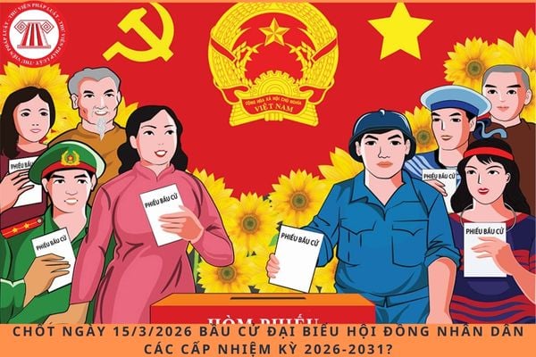 Pháp luật