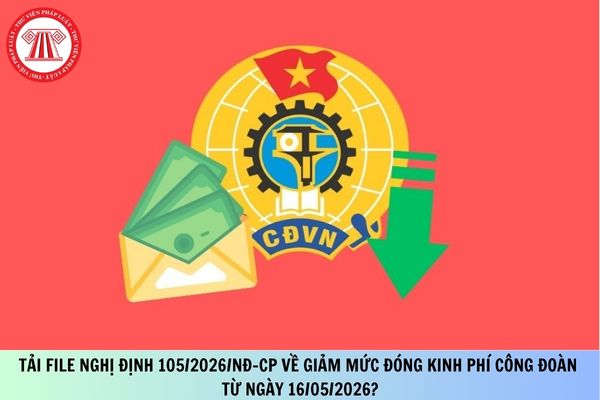 Pháp luật