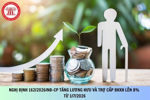 Pháp luật