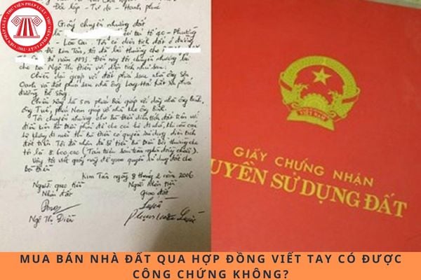 Pháp luật