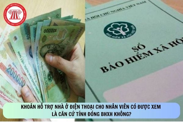 Pháp luật