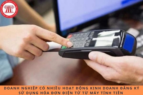 Pháp luật