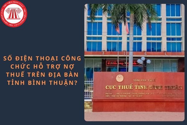 Pháp luật