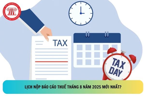 Pháp luật