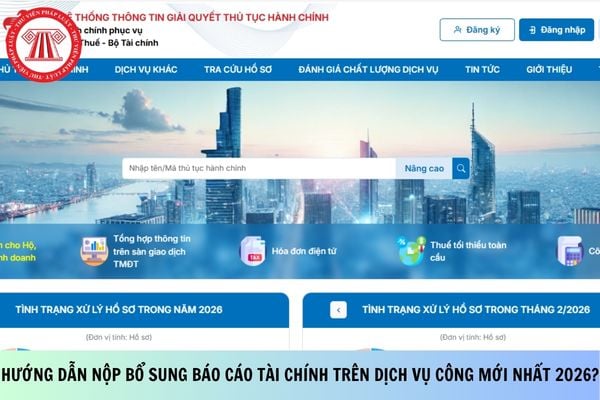 Pháp luật