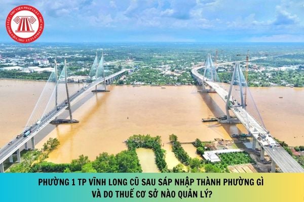 Pháp luật
