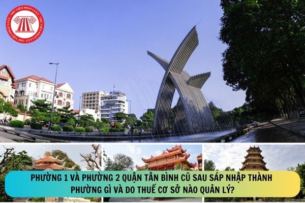 Pháp luật