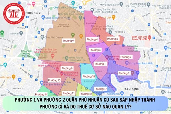 Pháp luật