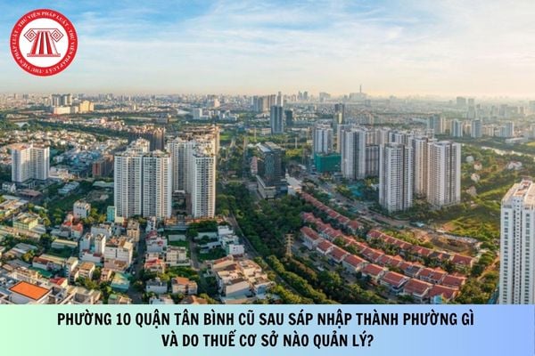 Phường 10 quận Tân Bình cũ sau sáp nhập thành phường gì và do Thuế cơ sở nào quản lý?