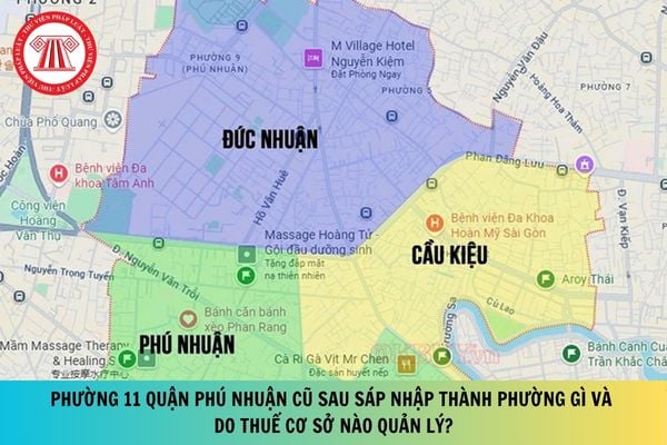 Pháp luật