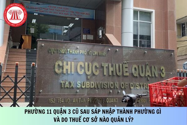 Pháp luật