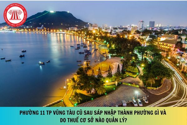 Pháp luật