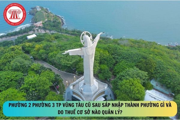 Pháp luật
