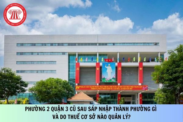 Pháp luật