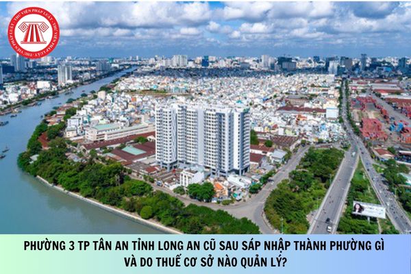 Pháp luật