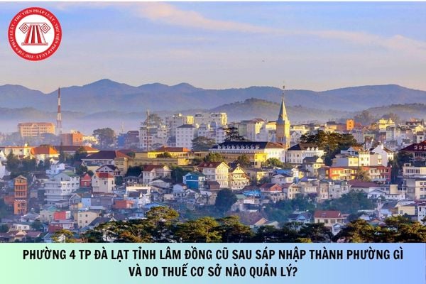 Pháp luật