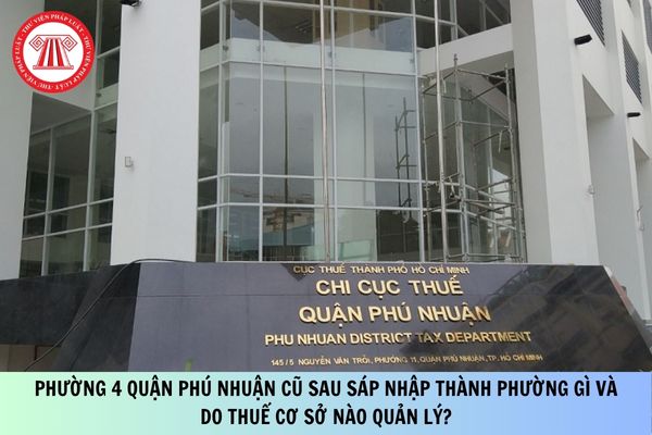 Pháp luật