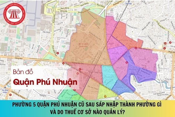 Pháp luật