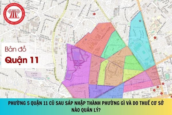 Pháp luật