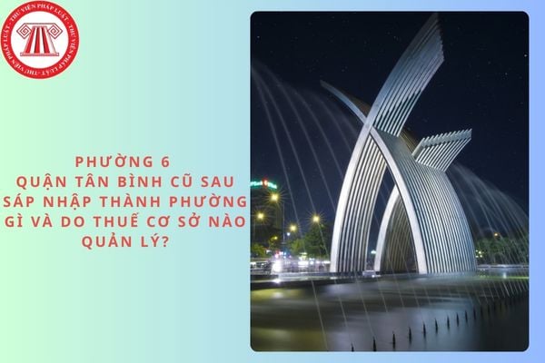 Pháp luật