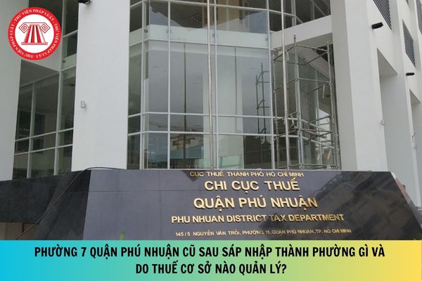Pháp luật