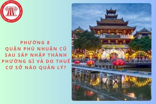 Pháp luật