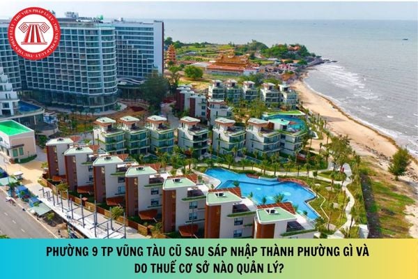 Pháp luật