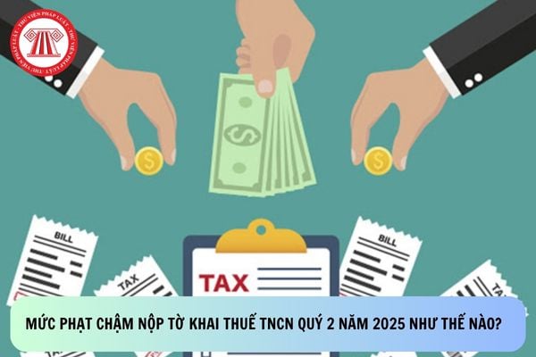 Pháp luật