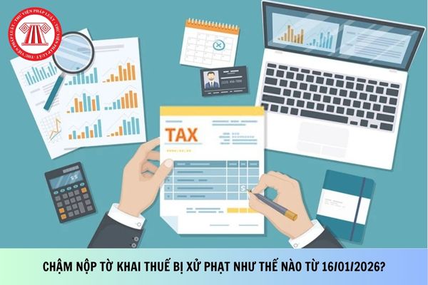 Pháp luật