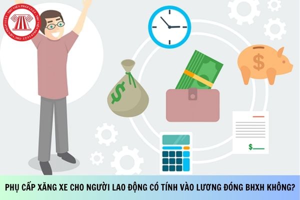 Pháp luật
