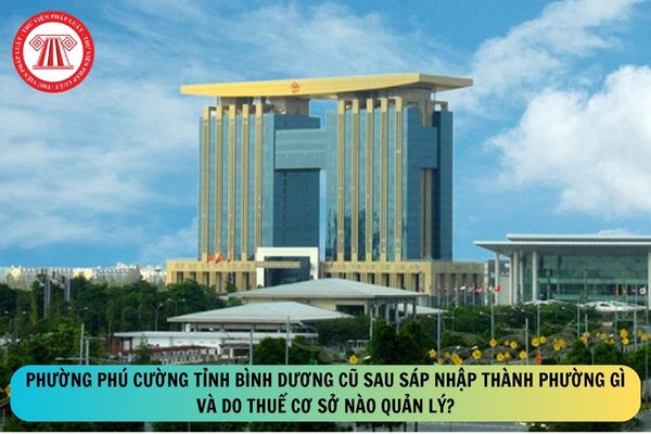 Pháp luật