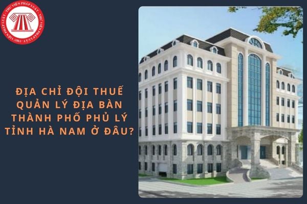 Pháp luật
