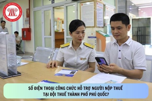 Pháp luật