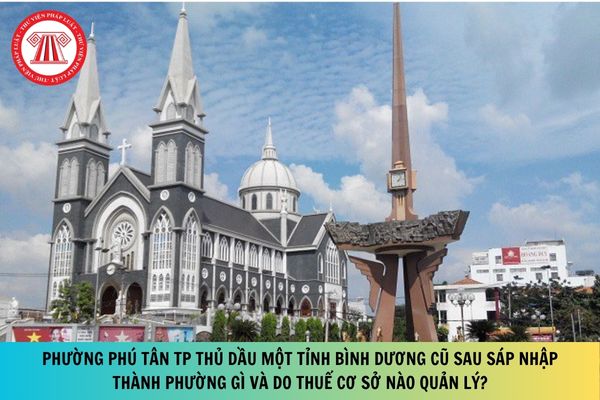 Pháp luật