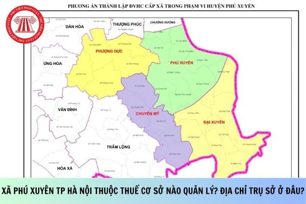 Pháp luật