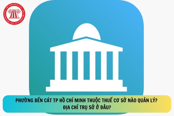 Pháp luật