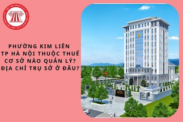 Pháp luật