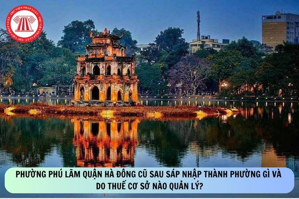 Pháp luật
